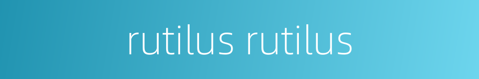 rutilus rutilus的同义词