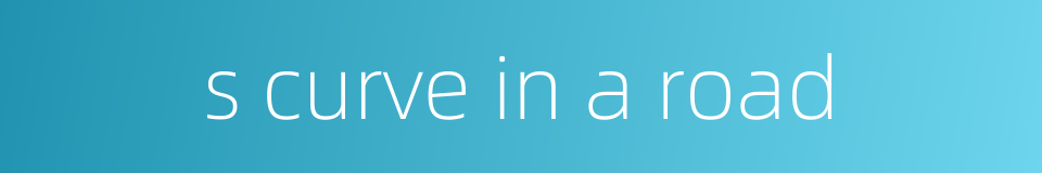 s curve in a road的同义词