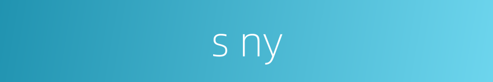 s ny的同义词