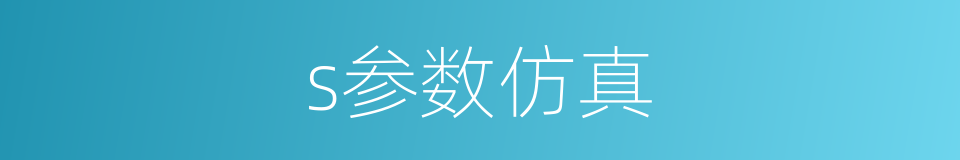 s参数仿真的同义词
