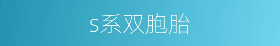 s系双胞胎的同义词