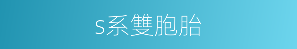 s系雙胞胎的同義詞