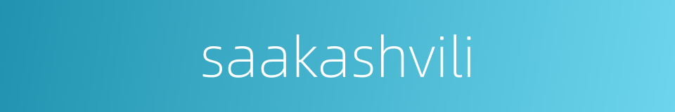 saakashvili的同义词