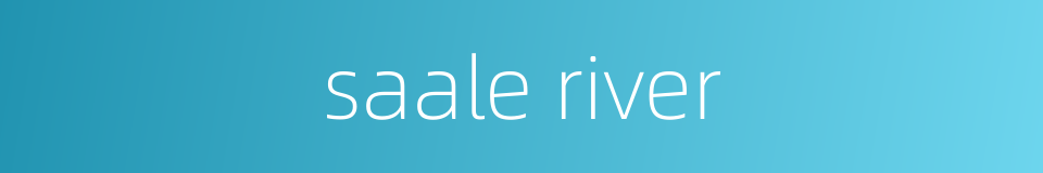 saale river的同义词