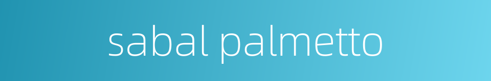 sabal palmetto的同义词