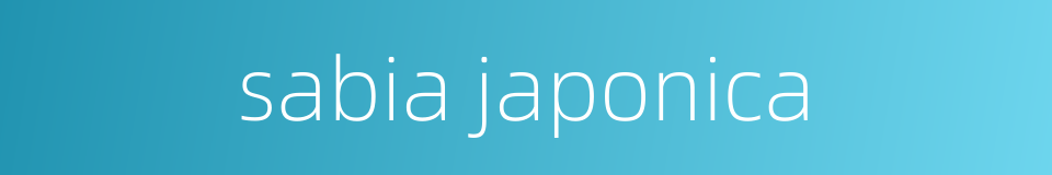 sabia japonica的同义词