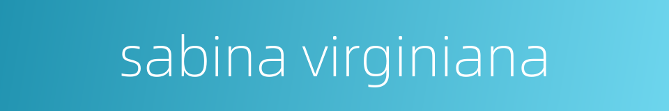 sabina virginiana的同义词