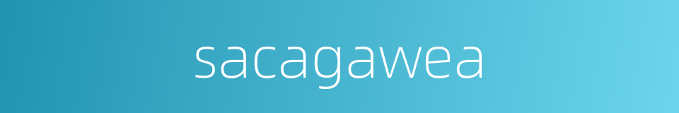 sacagawea的同义词