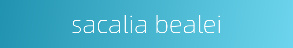 sacalia bealei的同义词