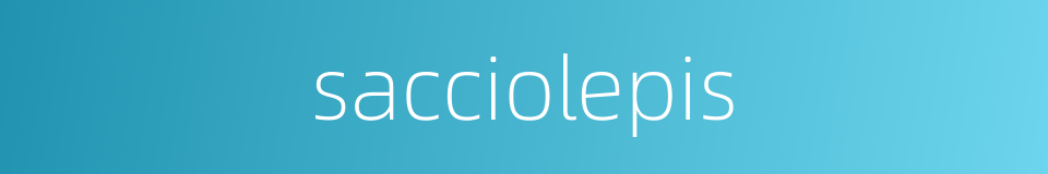 sacciolepis的同义词