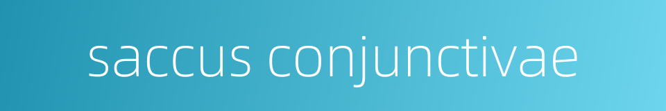saccus conjunctivae的同义词