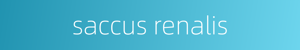 saccus renalis的同义词