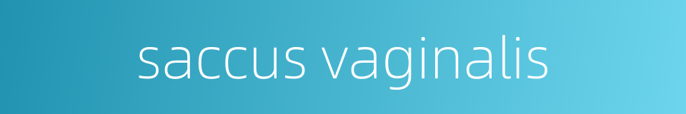 saccus vaginalis的同义词