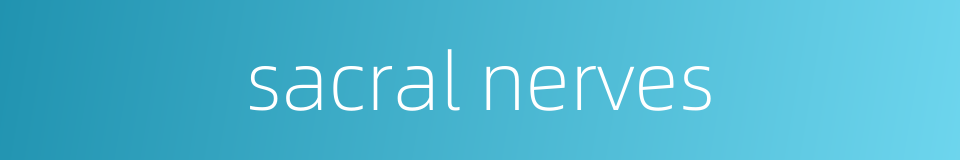 sacral nerves的同义词
