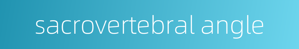 sacrovertebral angle的同义词