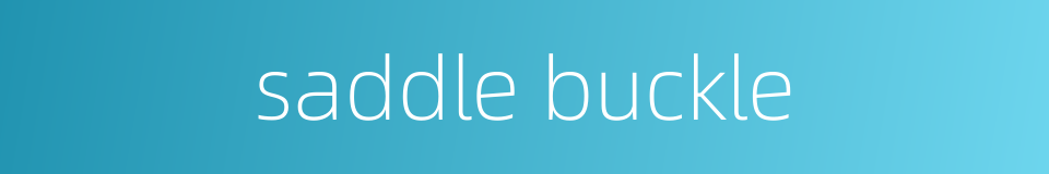 saddle buckle的同义词