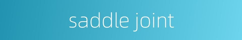 saddle joint的同义词