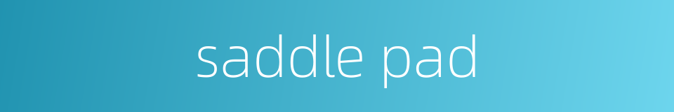 saddle pad的同义词