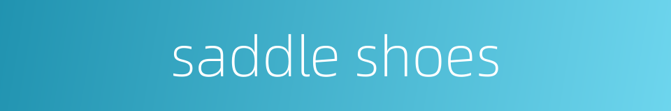 saddle shoes的同义词