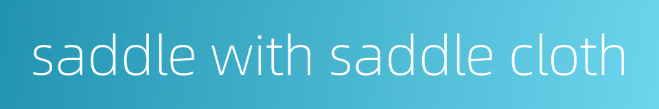 saddle with saddle cloth的同义词