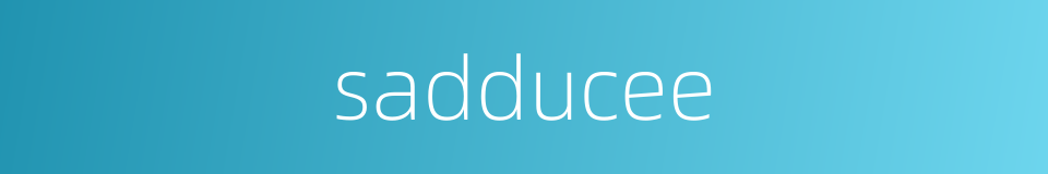 sadducee的同义词