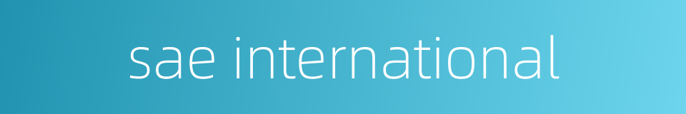 sae international的同义词