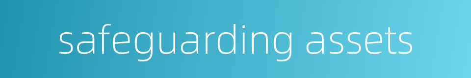 safeguarding assets的同义词