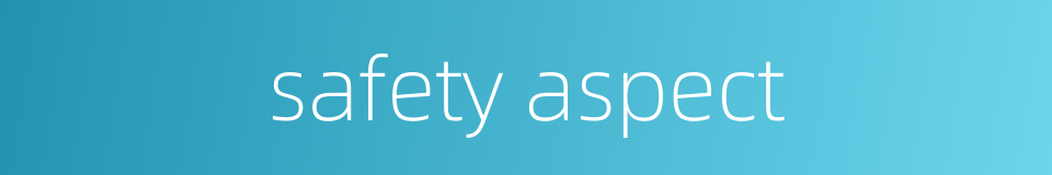 safety aspect的同义词