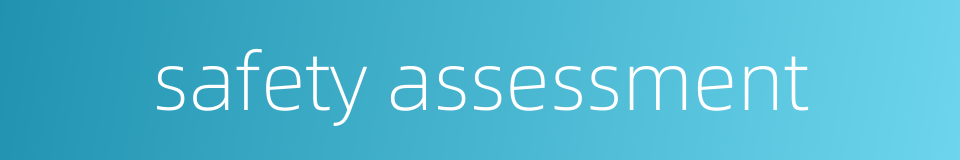 safety assessment的同义词