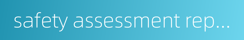 safety assessment report的同义词