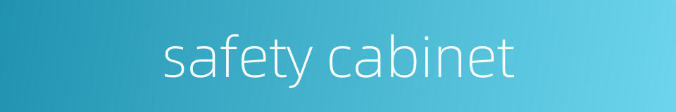 safety cabinet的同义词
