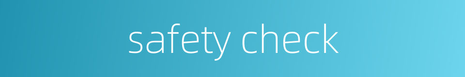 safety check的同义词