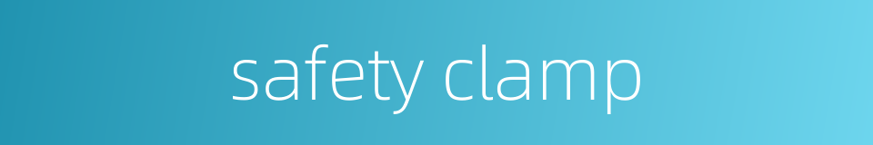 safety clamp的同义词