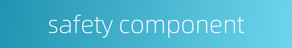 safety component的同义词