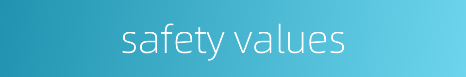 safety values的同义词