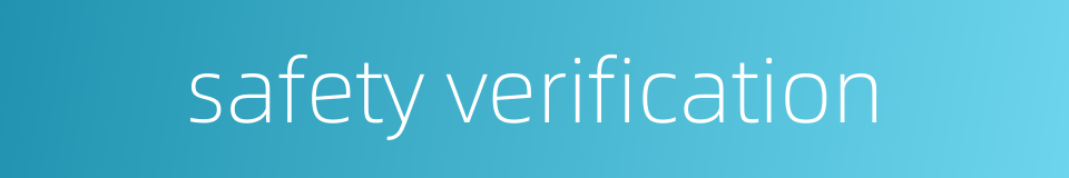 safety verification的同义词