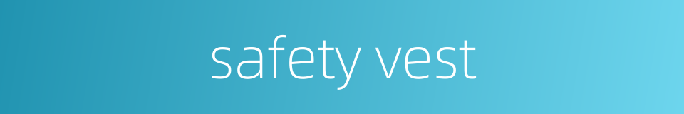 safety vest的同义词