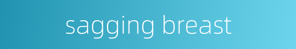 sagging breast的同义词