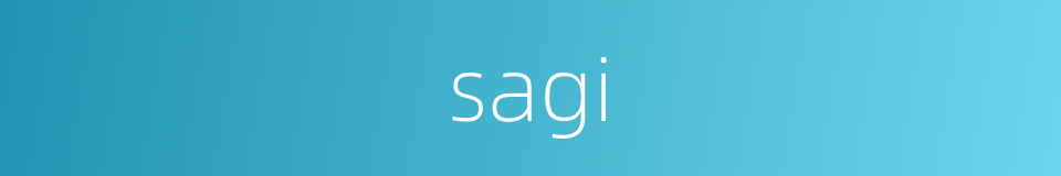 sagi的同义词