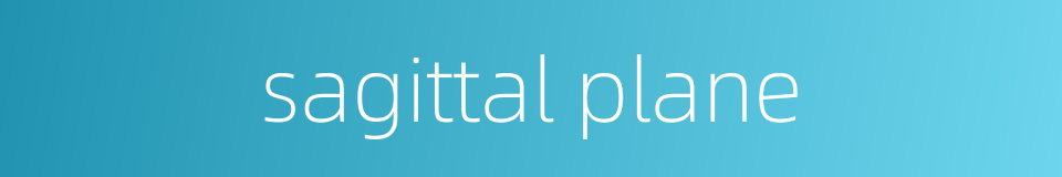 sagittal plane的同义词