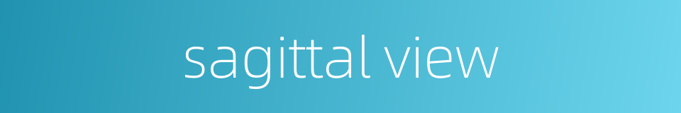 sagittal view的同义词