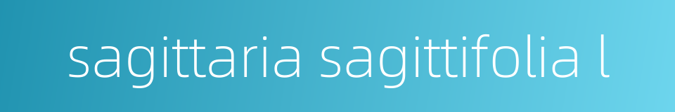 sagittaria sagittifolia l的同义词