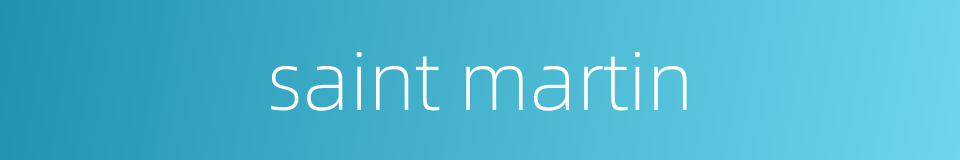 saint martin的同义词