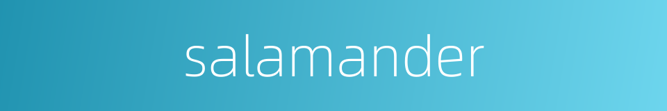 salamander的同义词