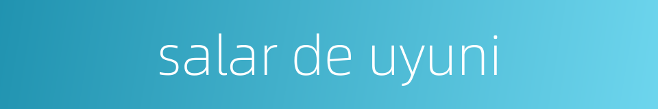 salar de uyuni的同义词