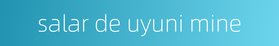 salar de uyuni mine的同义词