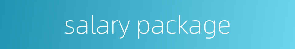 salary package的同义词