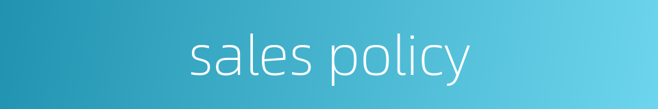 sales policy的同义词