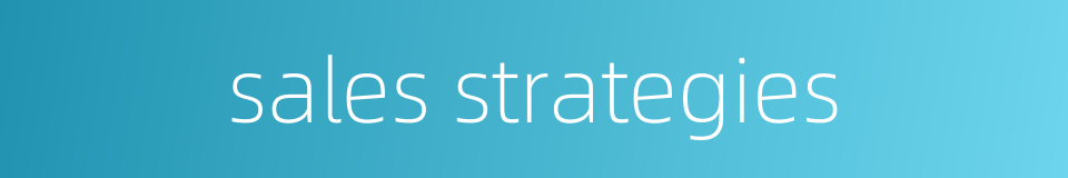 sales strategies的同义词