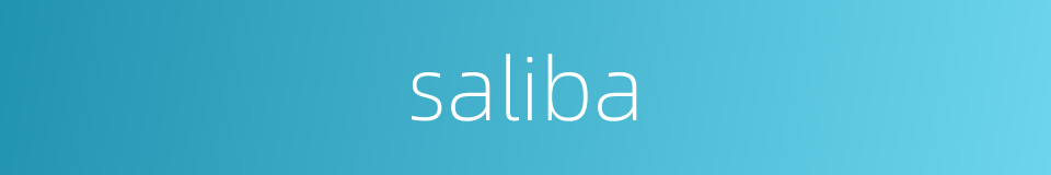 saliba的同义词